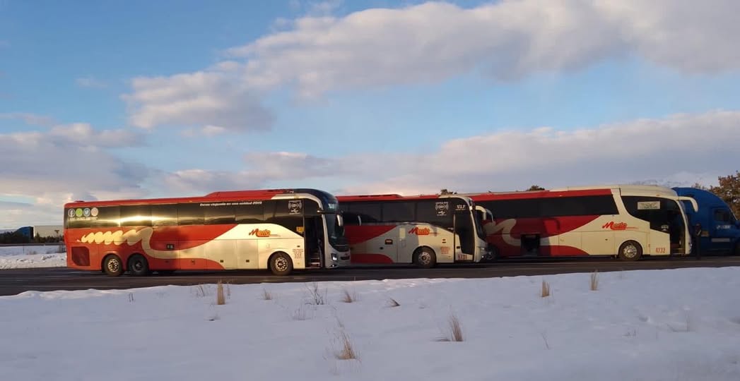 Flotilla de autobuses de Merlo Transportes